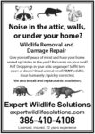 Expert Wildlife Solutions